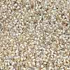 FGB 15/0 Grade A Glass Seed Beads X-SEED-A023-F15-H634-2