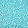 Baking Paint Pearlized Glass Seed Beads SEED-T008-03Q-3