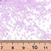 12/0 Imitation Jade Glass Seed Beads SEED-S049-B-001-4