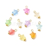 Transparent Acrylic Pendants PALLOY-JF01834-03-1