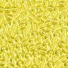 FGB Transparent Glass Seed Beads SEED-N013-01A-12-3