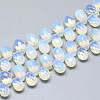 Opalite Beads Strands G-S357-C02-15-1