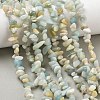 Natural Flower Amazonite Chips Beads Strands G-M205-12B-9