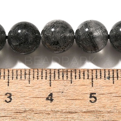 Natural Biotite Beads Strands G-F784-A03-03-1