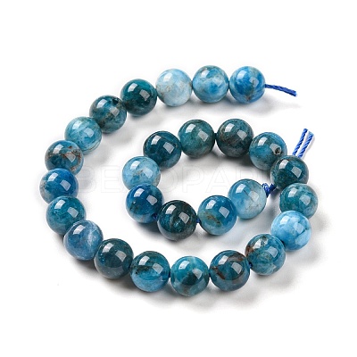 Natural Apatite Beads Strands X-G-S333-8mm-031A-1