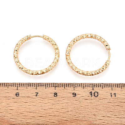 304 Stainless Steel Hoop Earrings STAS-T074-19G-1