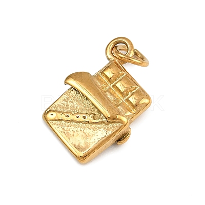 304 Stainless Steel Pendants STAS-B096-02G-04-1