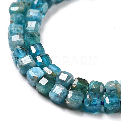 Natural Apatite Beads Strands G-P457-B01-14-1