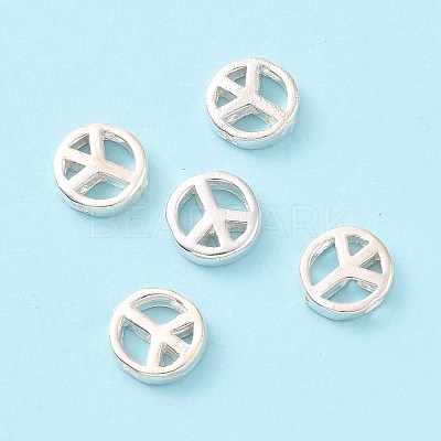 925 Sterling Silver Beads STER-A010-165-1