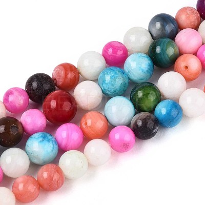 Freshwater Shell Beads Strands X-SHEL-T013-003-1