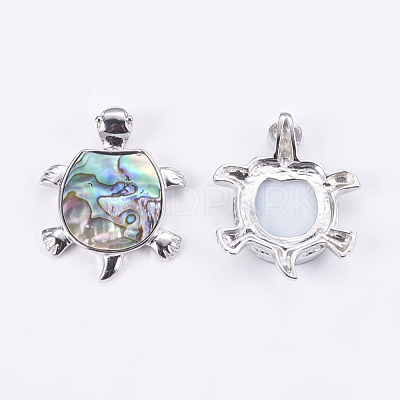 Abalone Shell/Paua Shell Pendants SSHEL-L008-14A-1