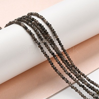Natural Silver Sheen Obsidian Beads Strands LS-G-E608-A02-A-1