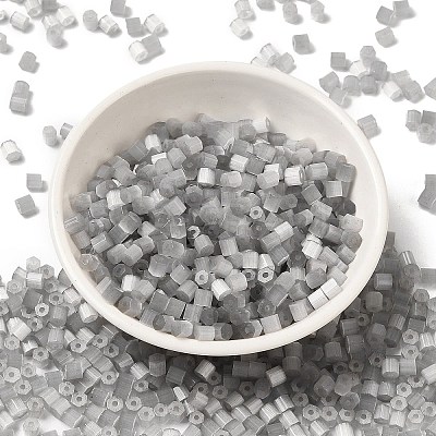 Glass Seed Beads SEED-H002-D-A819-1