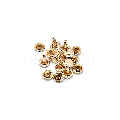 Brass Rivets PW-WG2BECC-19-1