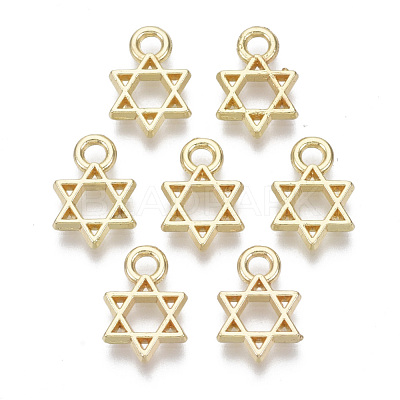 Alloy Charms PALLOY-S132-084-1