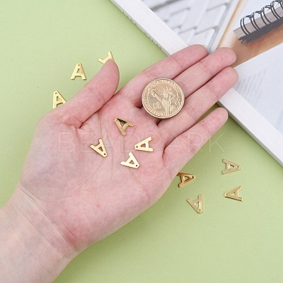 304 Stainless Steel Charms STAS-P141-A-1