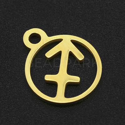 201 Stainless Steel Charms STAS-T014-LA111-9-1