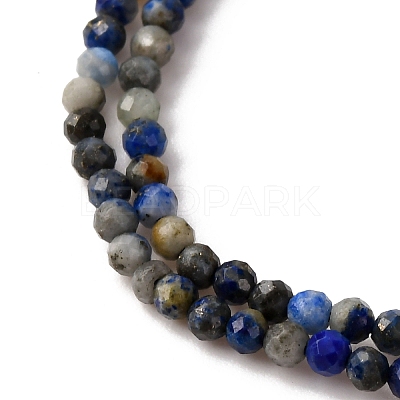 Natural Lapis Lazuli Beads Strands G-L629-B01-2mm-02-1