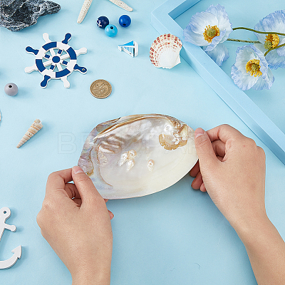 Natural Shell Jewelry Plates DJEW-WH0058-08-1