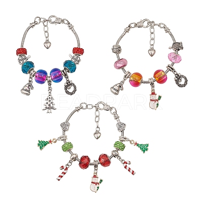 European Beads Dangle Charms Bracelets DIY Making Kit, Including Alloy &  Resin & Alloy Enamel European Beads, Alloy & Alloy Enamel Pendants, Brass