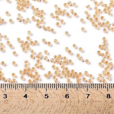 TOHO Round Seed Beads X-SEED-TR11-0904-1