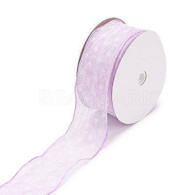 20 Yards Polyester Mesh Ribbon SRIB-P021-E01-1