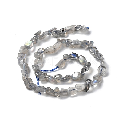 Natural Labradorite Beads Strands G-P497-01A-03-1