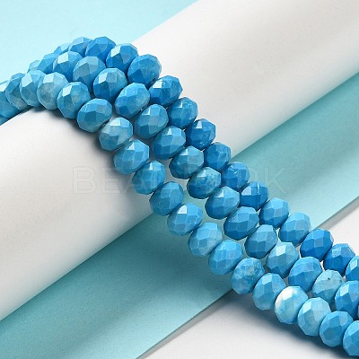 Dyed Natural Howlite Beads Strands G-G023-A01-01B-1