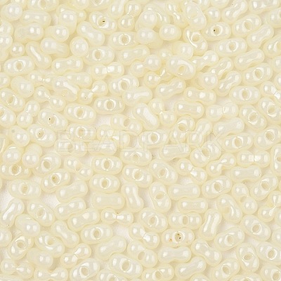 Baking Paint Glass Seed Beads SEED-L011-09A-17-1
