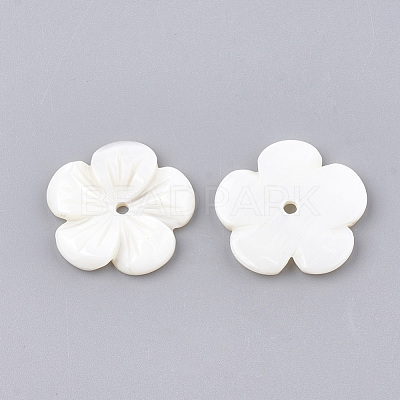 Freshwater Shell Beads SHEL-S274-08-1