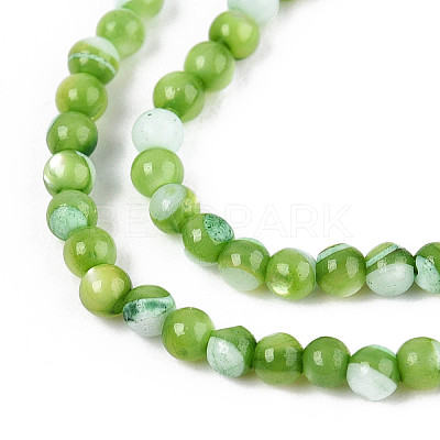 Dyed Natural Trochid Shell/Trochus Shell Beads Strands SSHEL-T017-13C-1