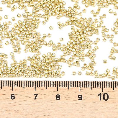 MIYUKI Delica Beads SEED-X0054-DB2502-1