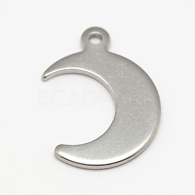 Tarnish Resistant 304 Stainless Steel Charms STAS-M037-09-1