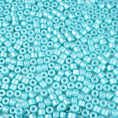 Baking Paint Pearlized Glass Seed Beads SEED-T008-03Q-1
