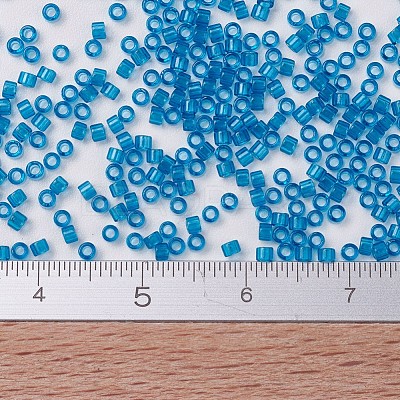 MIYUKI Delica Beads Small SEED-X0054-DBS0714-1