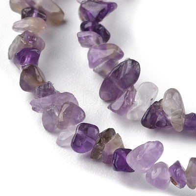 Natural Amethyst Beads Strands G-G0003-B14-1