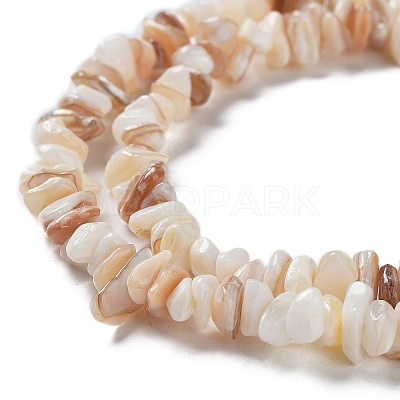 Natural Shell Beads Strands G-F328-45-1