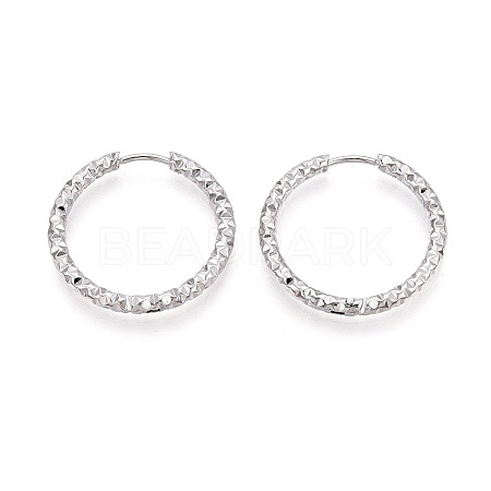 304 Stainless Steel Hoop Earrings STAS-T074-19P-1