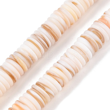 Natural Freshwater Shell Beads Strands SSHEL-T017-02-1