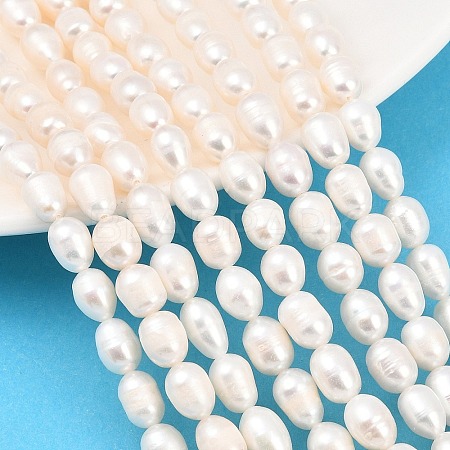 Natural Cultured Freshwater Pearl Beads Strands PEAR-D003-01D-06-1