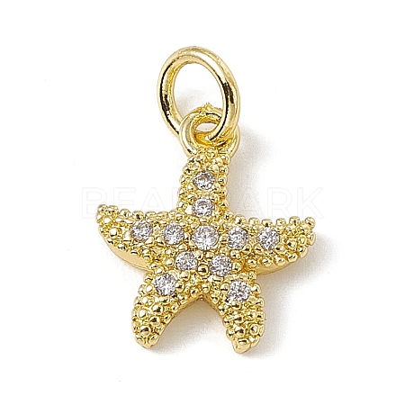 Brass Micro Pave Cubic Zirconia Charms ZIRC-F132-13G-1