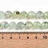 Natural Prehnite Beads Strands G-S345-10mm-28-5