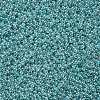 12/0 Grade A Round Glass Seed Beads SEED-N001-B-920-2