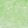 12/0 Glass Seed Beads X-SEED-A015-2mm-2214-2