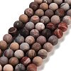 Frosted Natural Petrified Wood Round Bead Strands G-F266-07-8mm-01-1