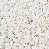 TOHO 8/0 Round Beads SEED-TR08-2100-2