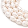 Natural Cultured Freshwater Pearl Beads Strands PEAR-D003-01D-12-4