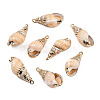 Electroplate Spiral Shell Pendants X-SSHEL-T006-12-4