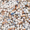 Two Tone Baking Paint Glass Seed Beads SEED-F005-01A-07-3