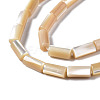 Natural Trochid Shell/Trochus Shell Beads Strands X-SSHEL-S266-020B-02-3